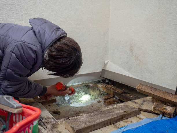 Best Commercial Mold Inspection  in Opelika, AL