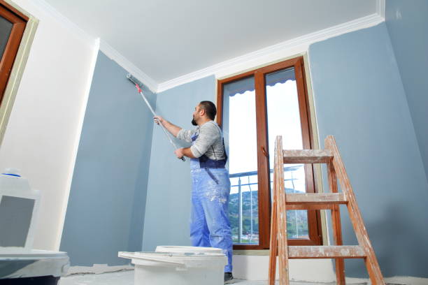 Best Post-Construction Mold Inspection  in Opelika, AL