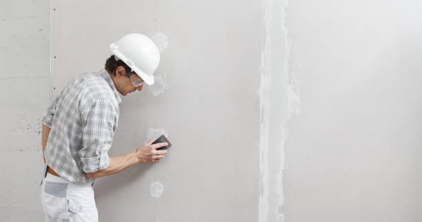 Best Biohazard Mold Removal  in Opelika, AL