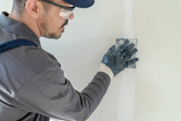 Reliable Opelika, AL Mold Removal Solutions