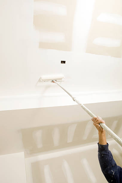 Best Mold Prevention Services  in Opelika, AL