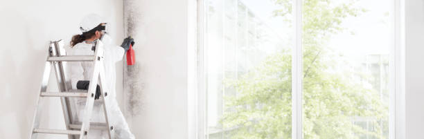 Best Real Estate Mold Inspection  in Opelika, AL