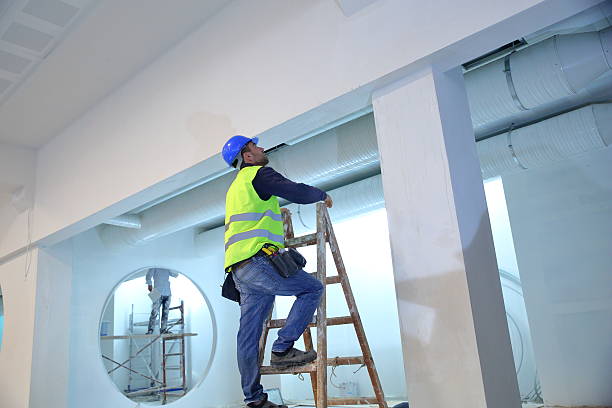 Best Black Mold Removal  in Opelika, AL