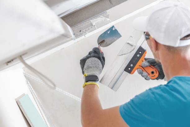 Best Asbestos and Lead Testing During Mold Inspection  in Opelika, AL